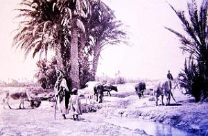 Images d'Algerie 030